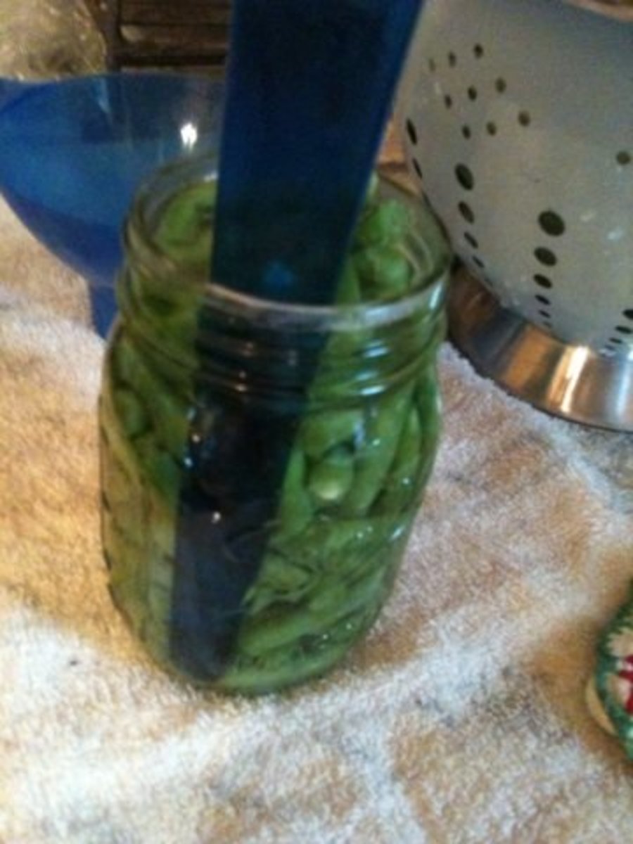 How to Can Green Beans at Home in a Pressure Canner Delishably