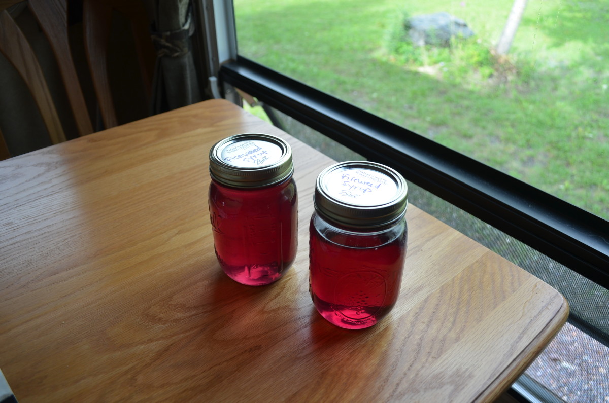 Fireweed Syrup Is Beautiful and Delicious