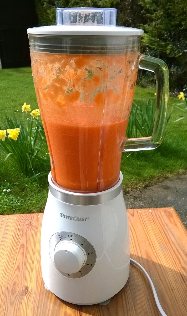 This 550 watt blender from Lidl (Silvercrest brand) has lots of power for making soup - Check the Lidl website in your country for details