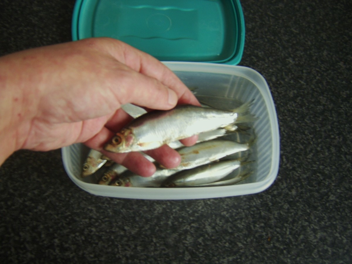 Sprats are small and delicate and care is required when cleaning them for cooking