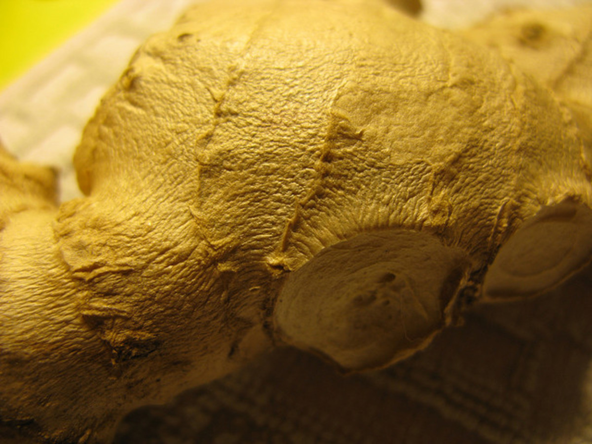 Ginger Root is an ingredient in ginger beer.
