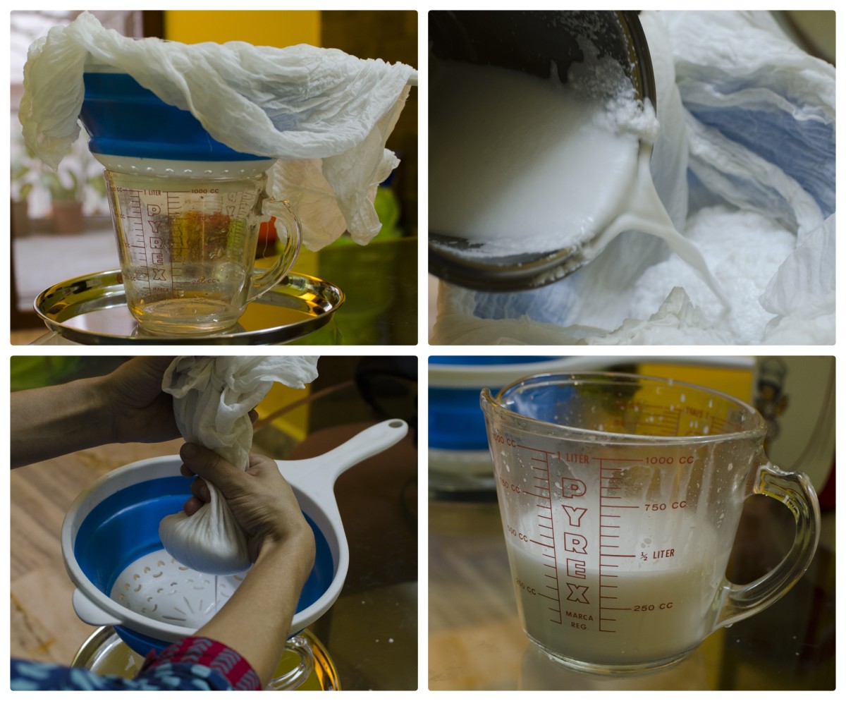 How to Make Coconut Milk at Home HubPages