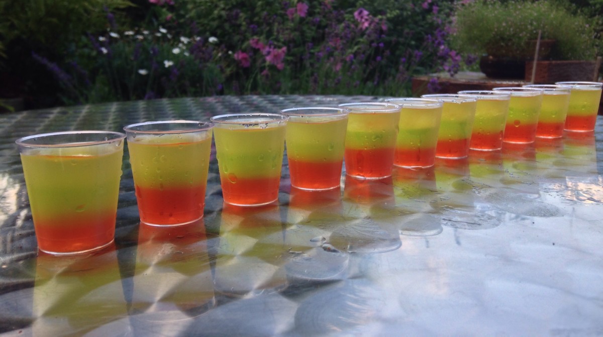 Vodka Drinks, Cocktails and Concoctions 10 Summer Recipes Delishably