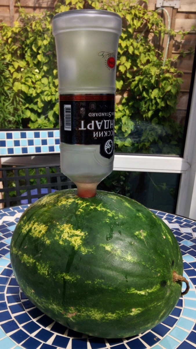 Vodka Infusing Into Watermelon