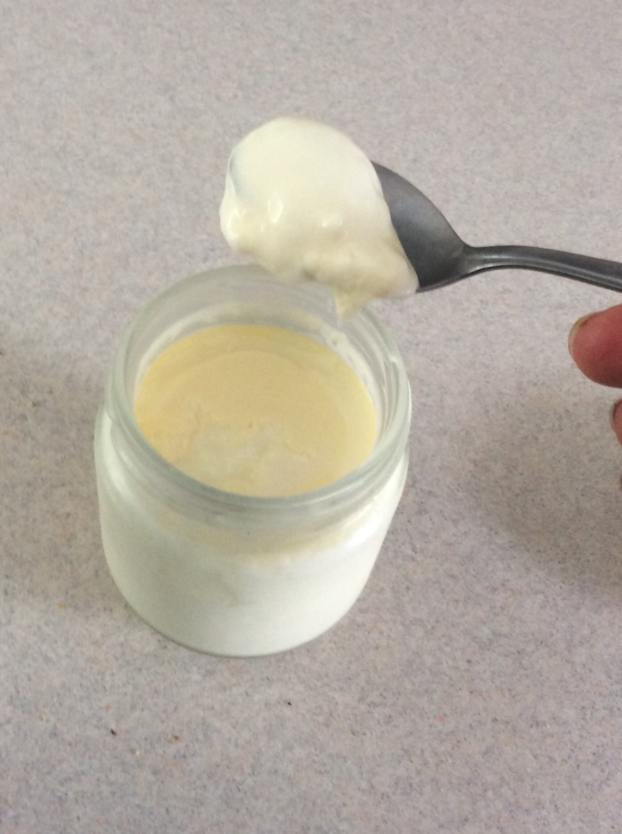 Creamy Homemade  Yogurt