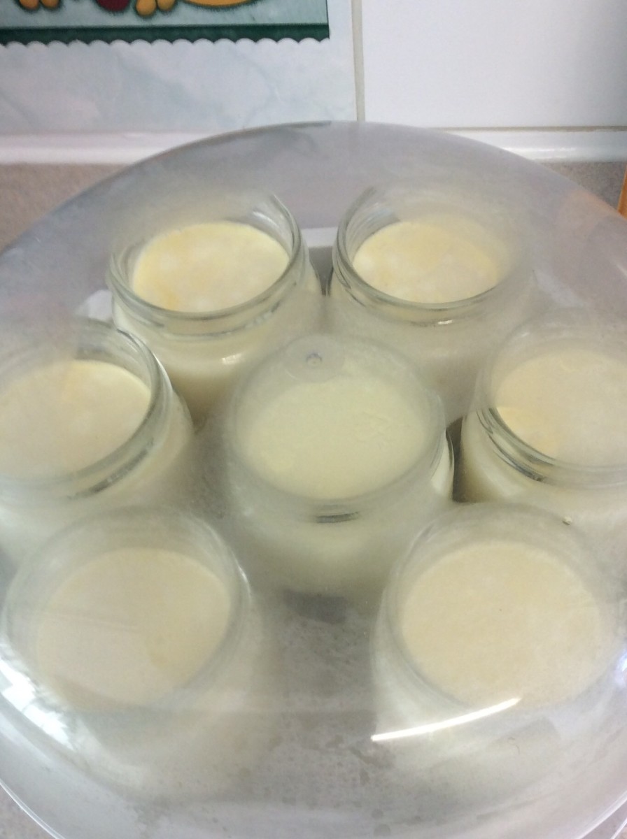 6. Place jars in yogurt maker and set timer.