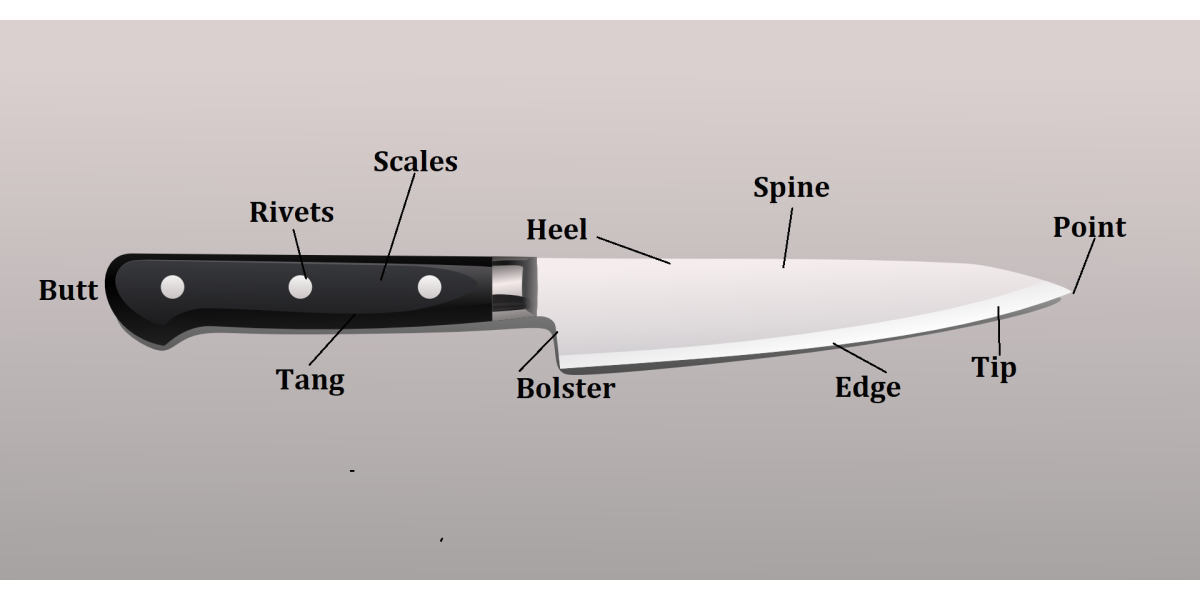 anatomy of a knife