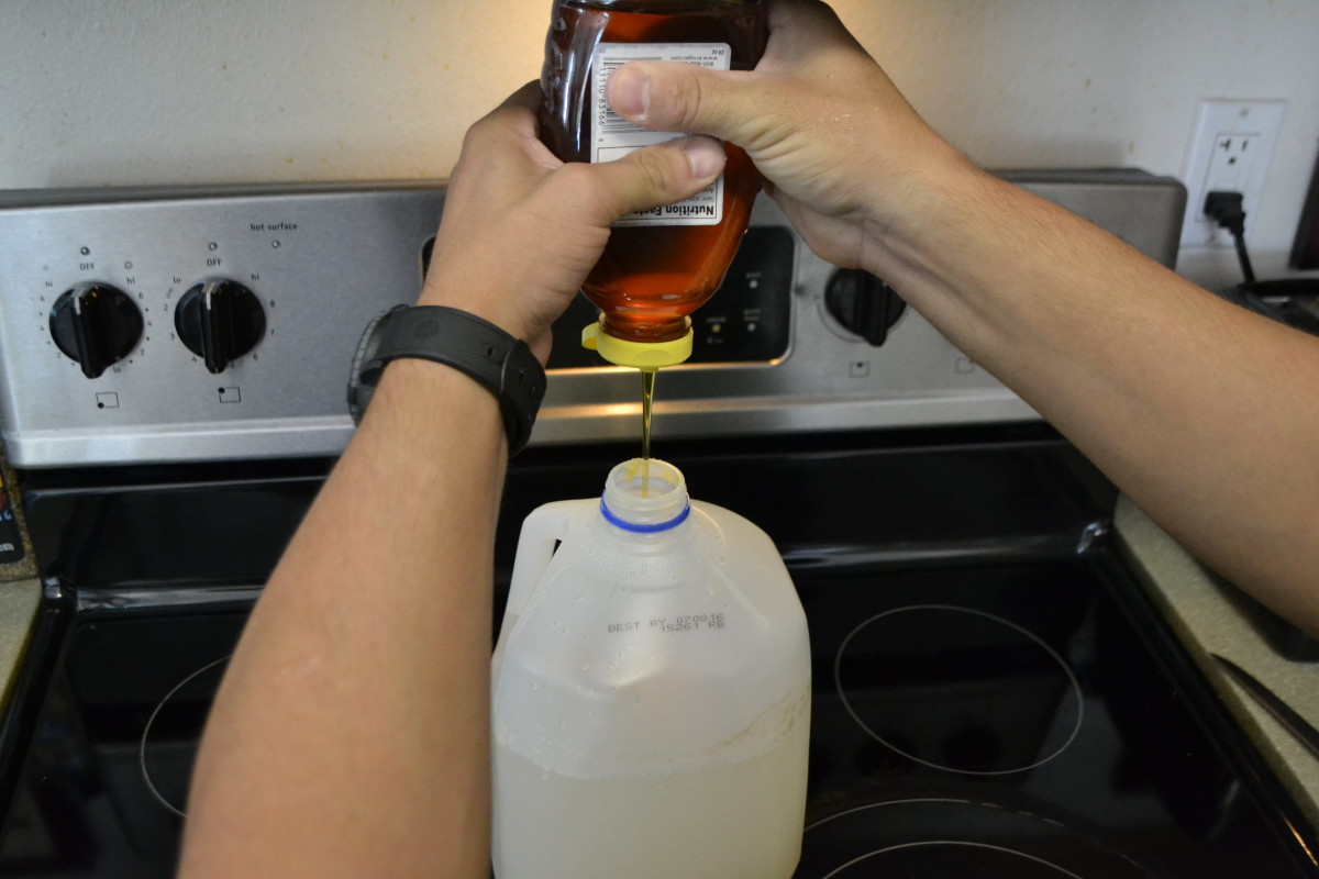 How to Make Milk Jug Mead (Honey Wine) at Home - Delishably