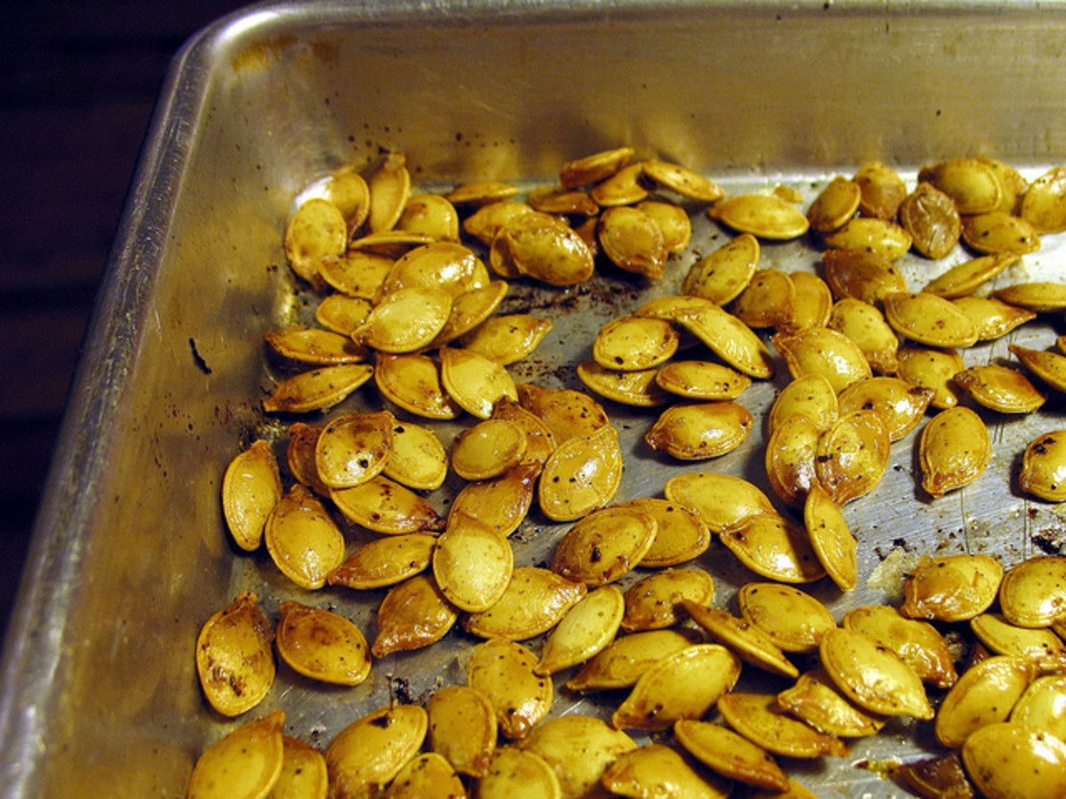 roasted squash seeds