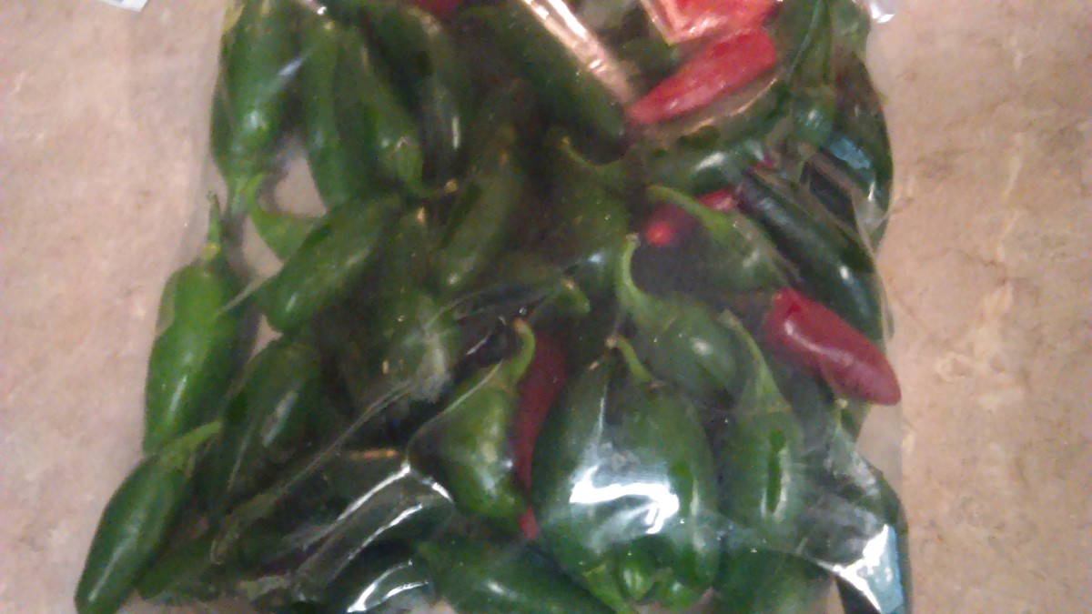 About 1 pound of jalapeños fresh off the plant!