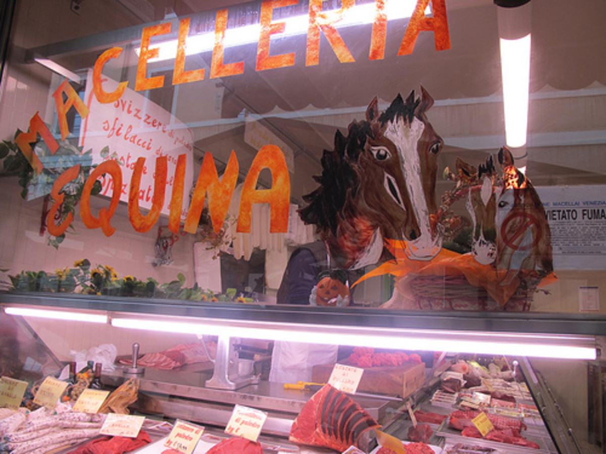 Horse flesh is popular in India, Belgium, China, Russia, Japan, Sweden, South America, France, and many other places.