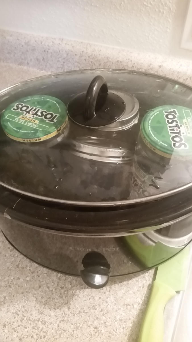 https://images.saymedia-content.com/.image/t_share/MTc0NjE5NDQ3MDQ1MjY5NDk0/how-you-can-make-black-garlic-at-home-with-a-crockpot.png