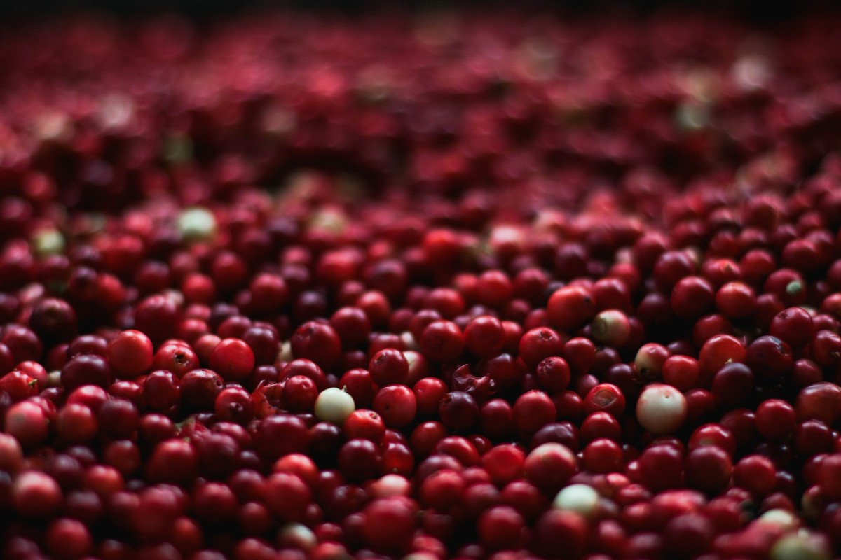 Cranberries History of the "Super Fruit" and 11 Recipes Delishably