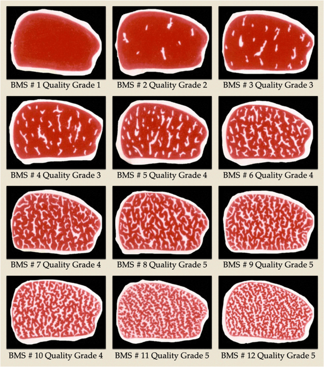 Use this chart to help you select a steak for this recipe.