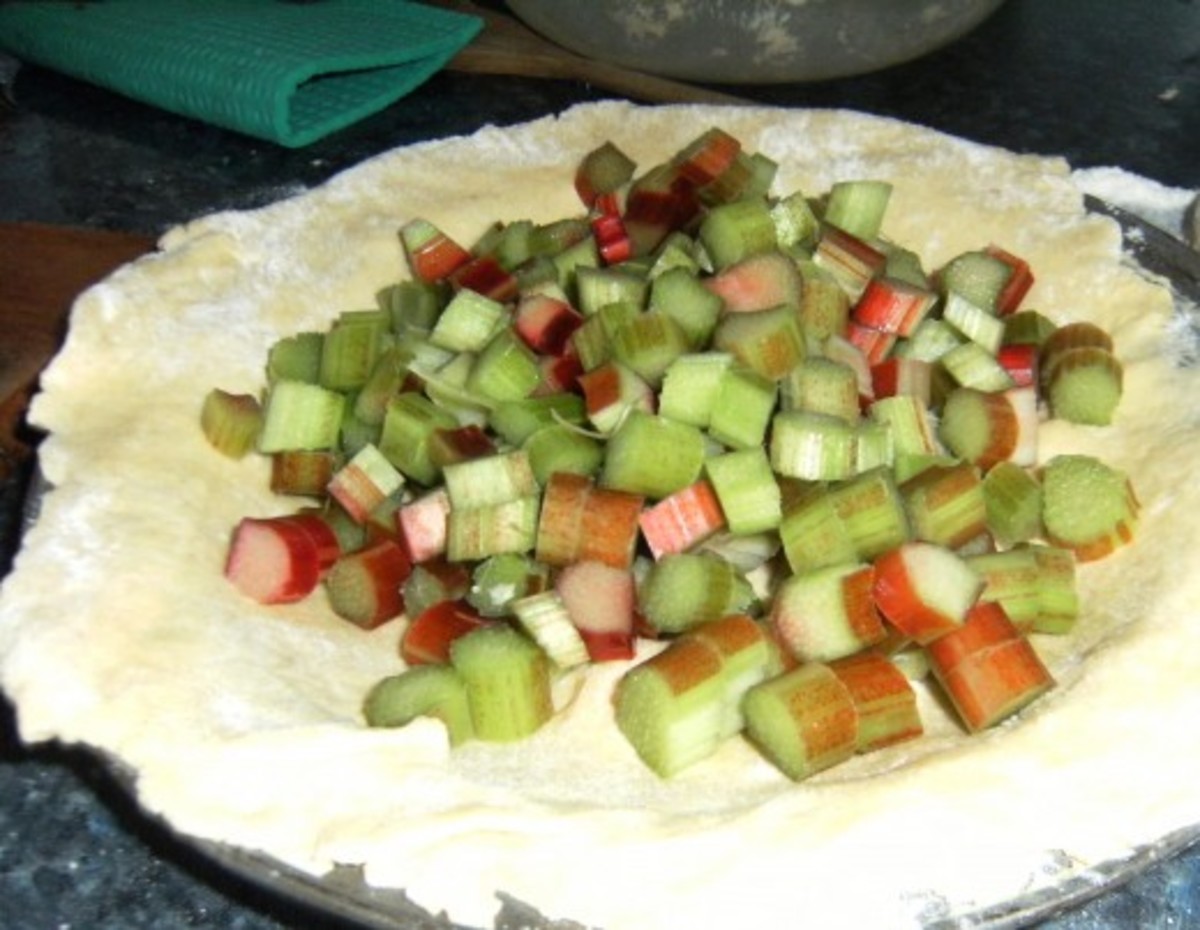 Add the rhubarb pieces on top of the rolled-out pastry.