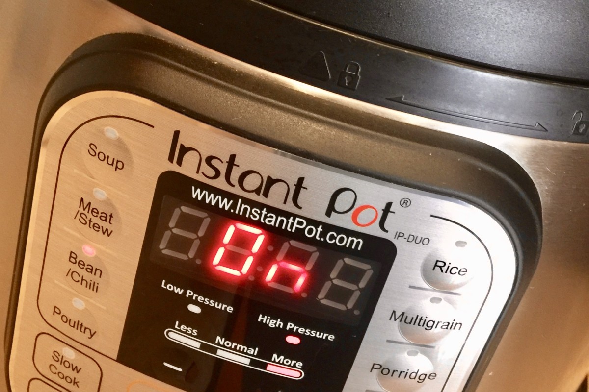 Electric Programmable Pressure Cooker (I affectionately call mine R-2.) 