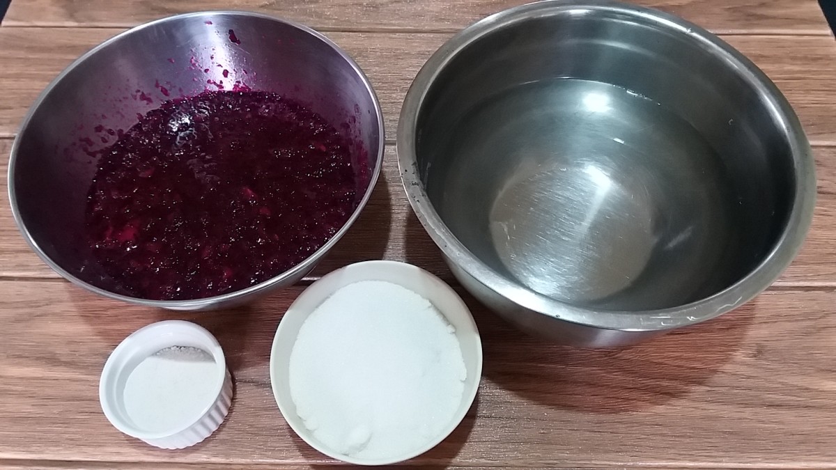 How to Make Dragon Fruit (Pitahaya) Jelly Delishably