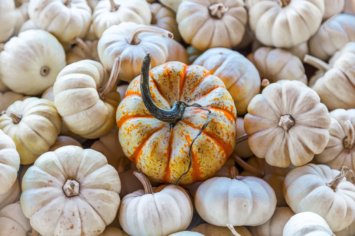 homemade-pumpkin-spice-granola-for-the-fall