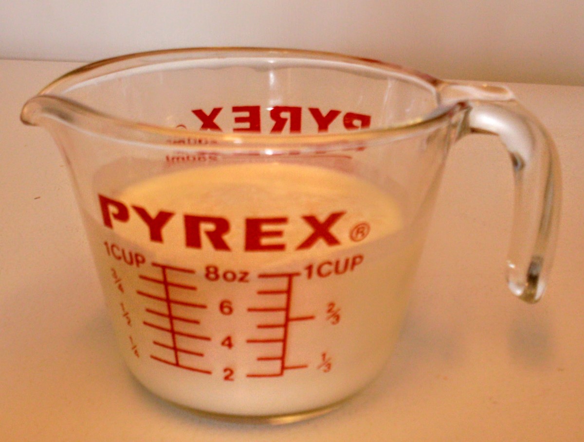 This is one cup of plain, homemade yogurt, intended to culture the milk into cheese.