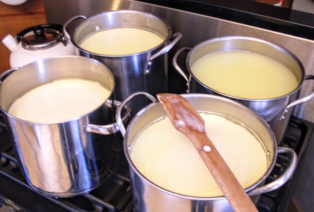 You can see that the curds have coagulated and are beginning to pull away from the edges of the pot.