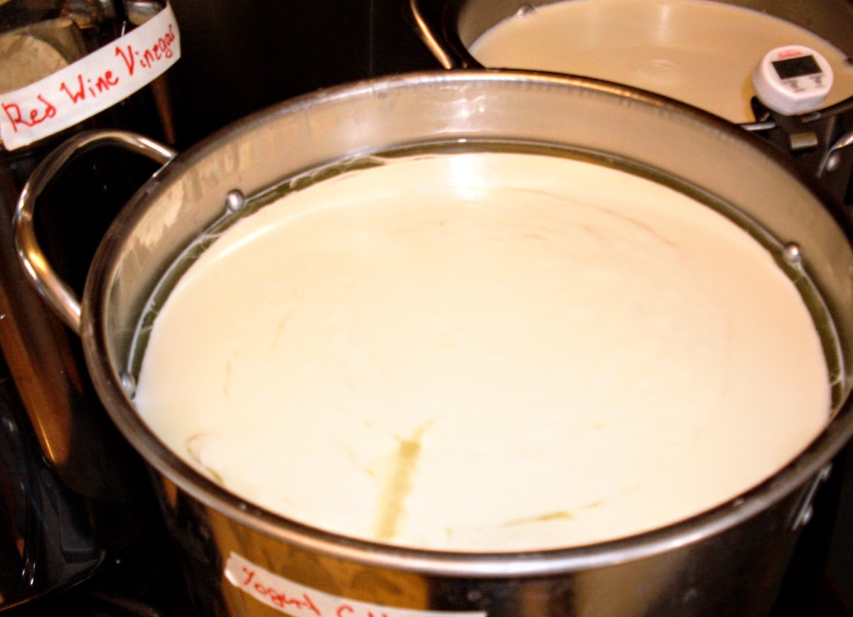 You can see, toward the front of the pot, how the curds are still soft but leave a definite depression when tested with a finger.