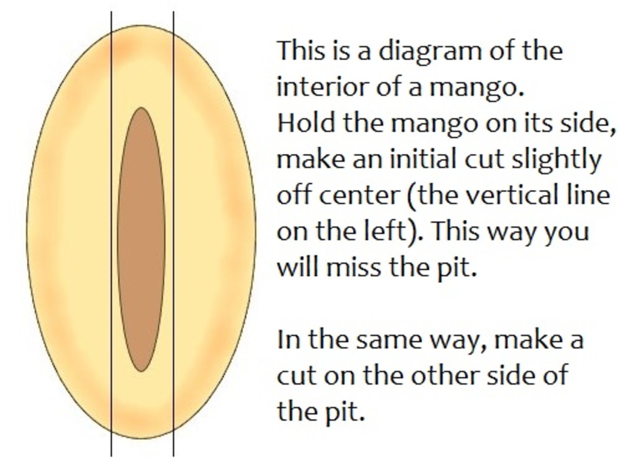 Mango interior diagram 