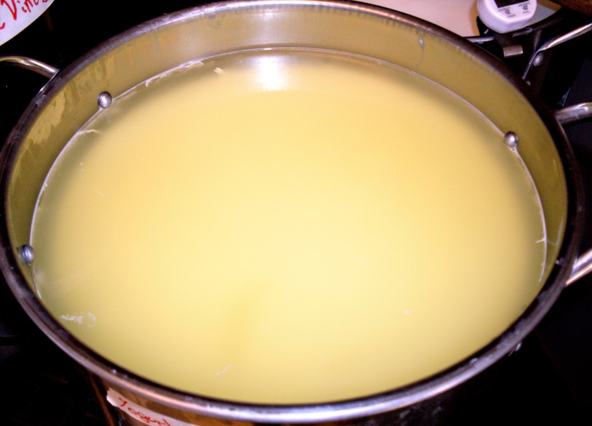 Here the curds are sinking to the bottom of the pot, and the yellow whey, which is the watery part of milk, has risen above it.