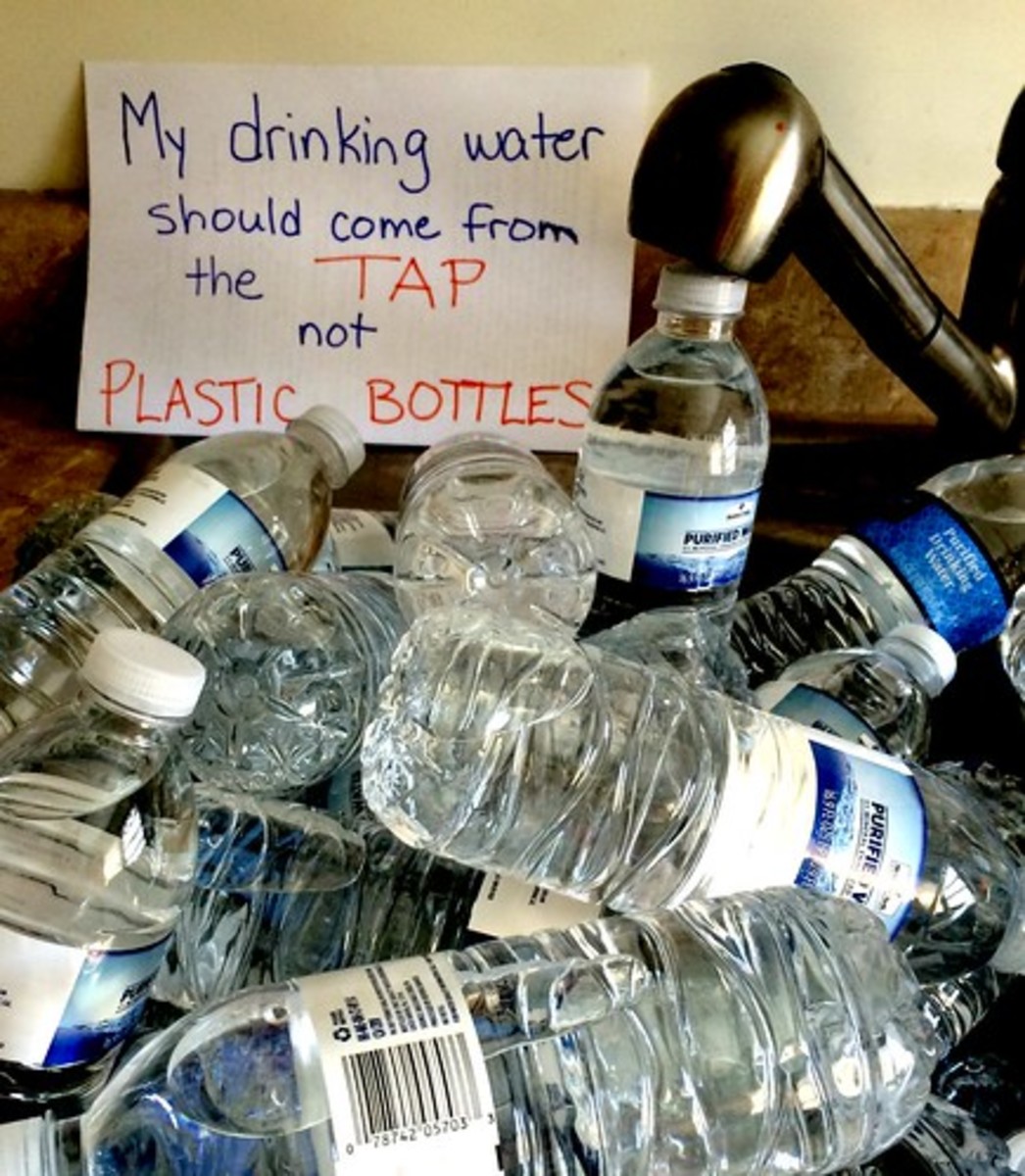 the-bottled-water-industry