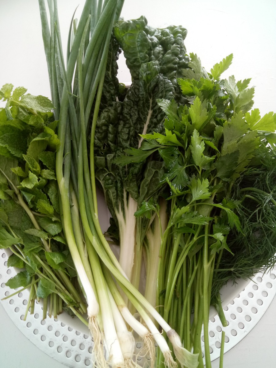 Greens including mint, spring onions,  silverbeet, parsley and fennel