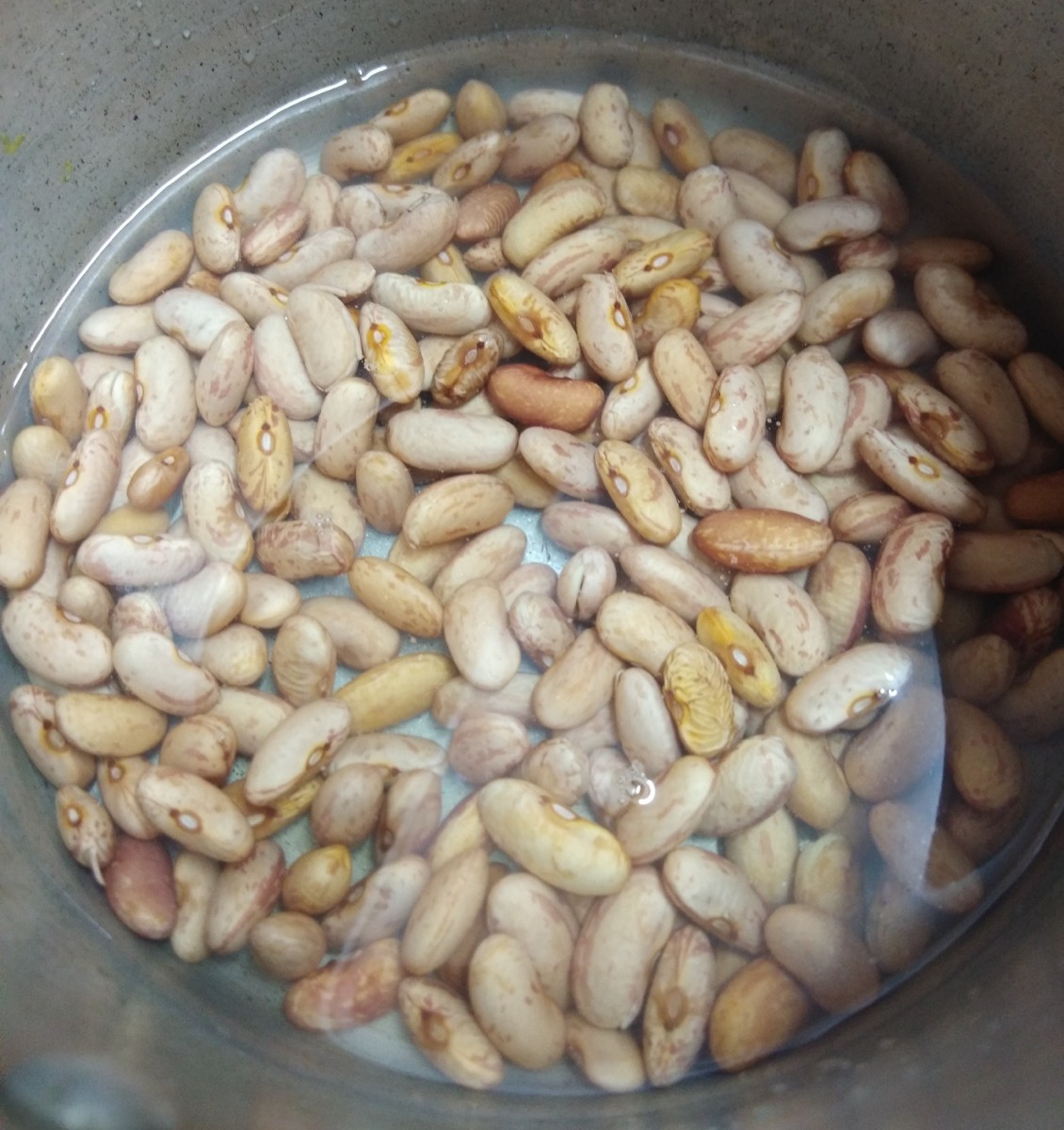 In a pressure cooker, add the kidney beans and water. Add 1/2 teaspoon of salt. Close the lid.