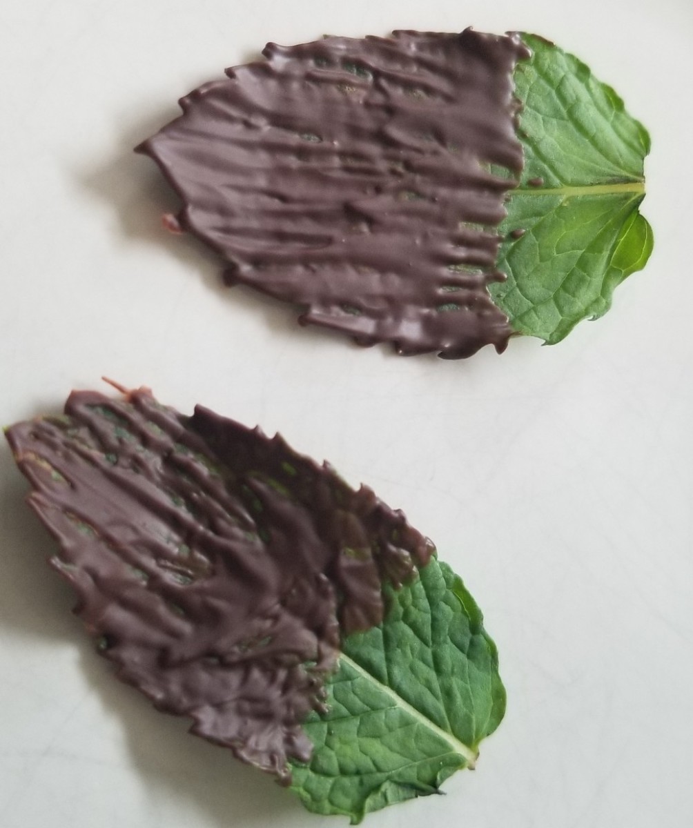 choco mint leaves