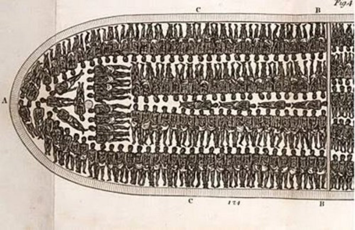 Slaves "Packed in Below Deck"
