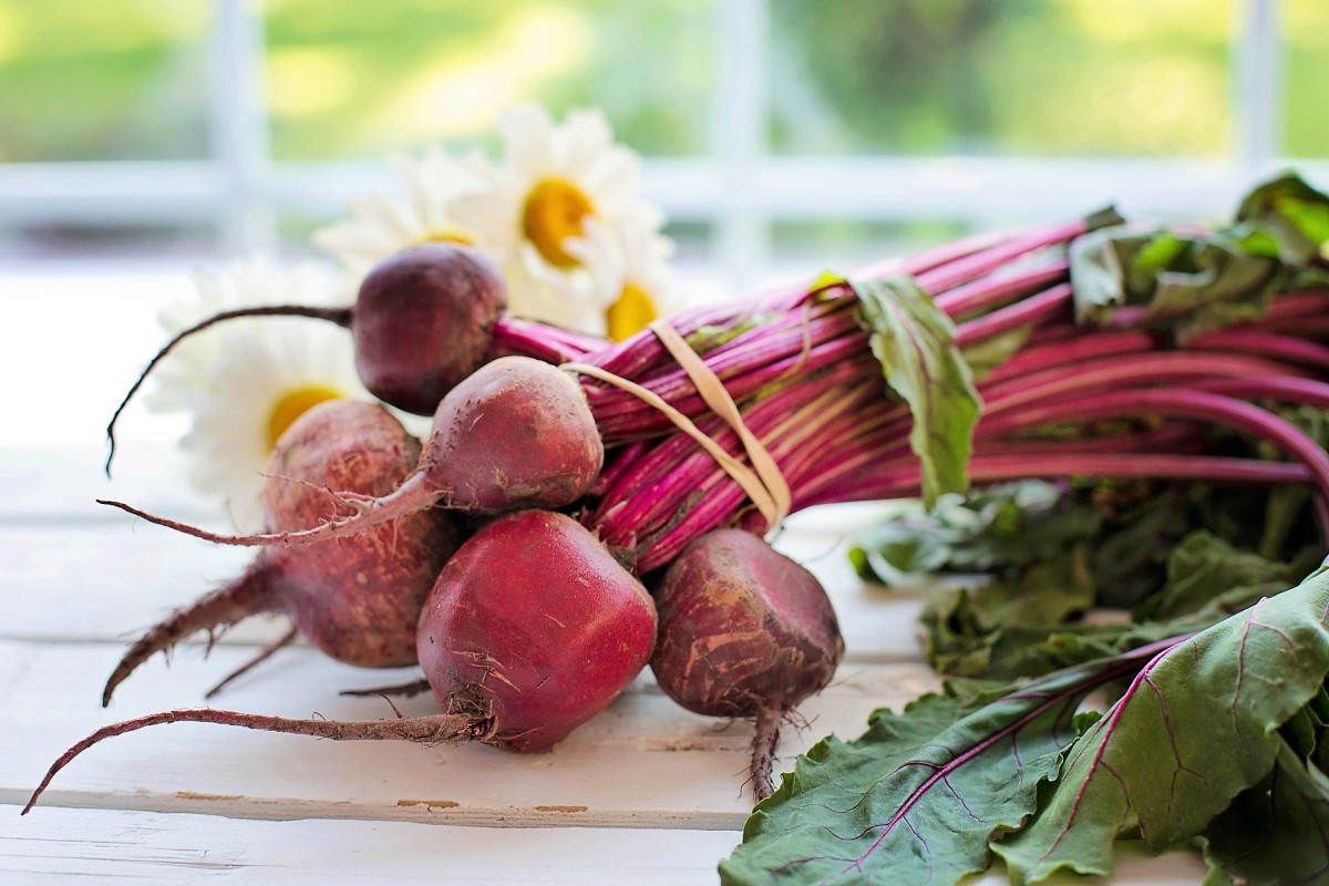 Beets grow well in soil fertilized by urine.
