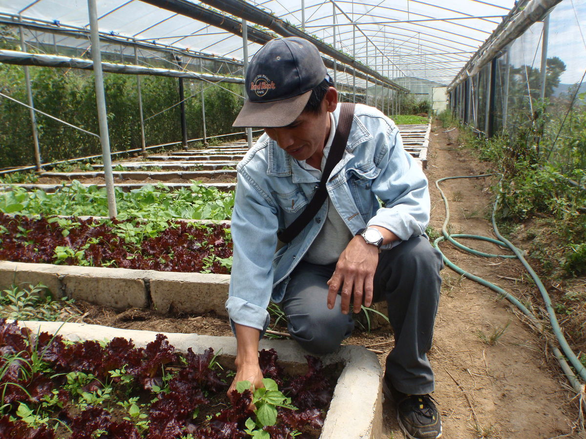 Filipino farmers work hard for very little money.