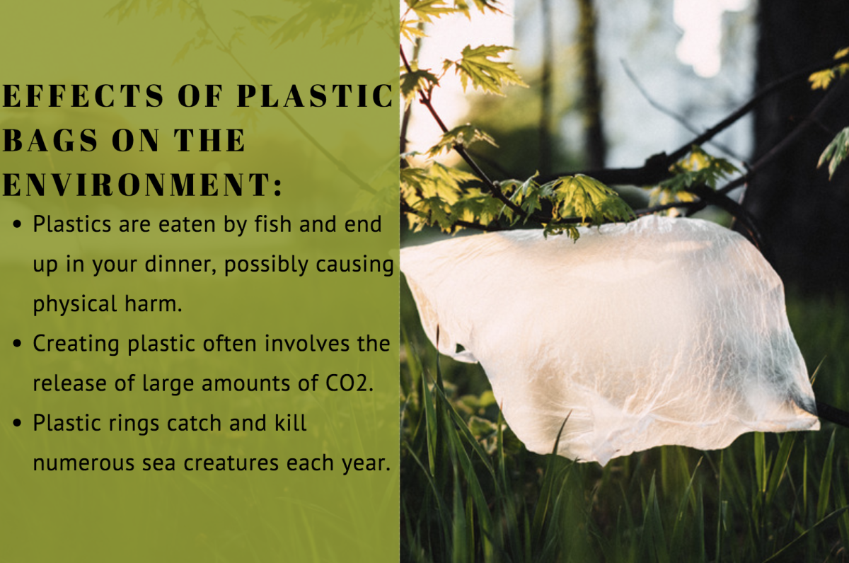 How to Identify Different Types of Plastic Owlcation