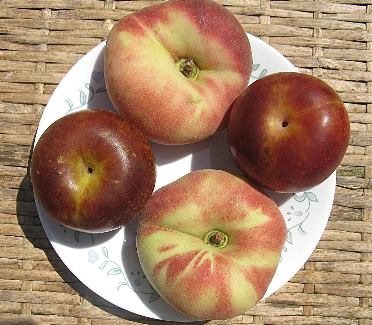 Fruits such as peaches and pluots contain beneficial phytonutrients, especially when eaten with their skins.