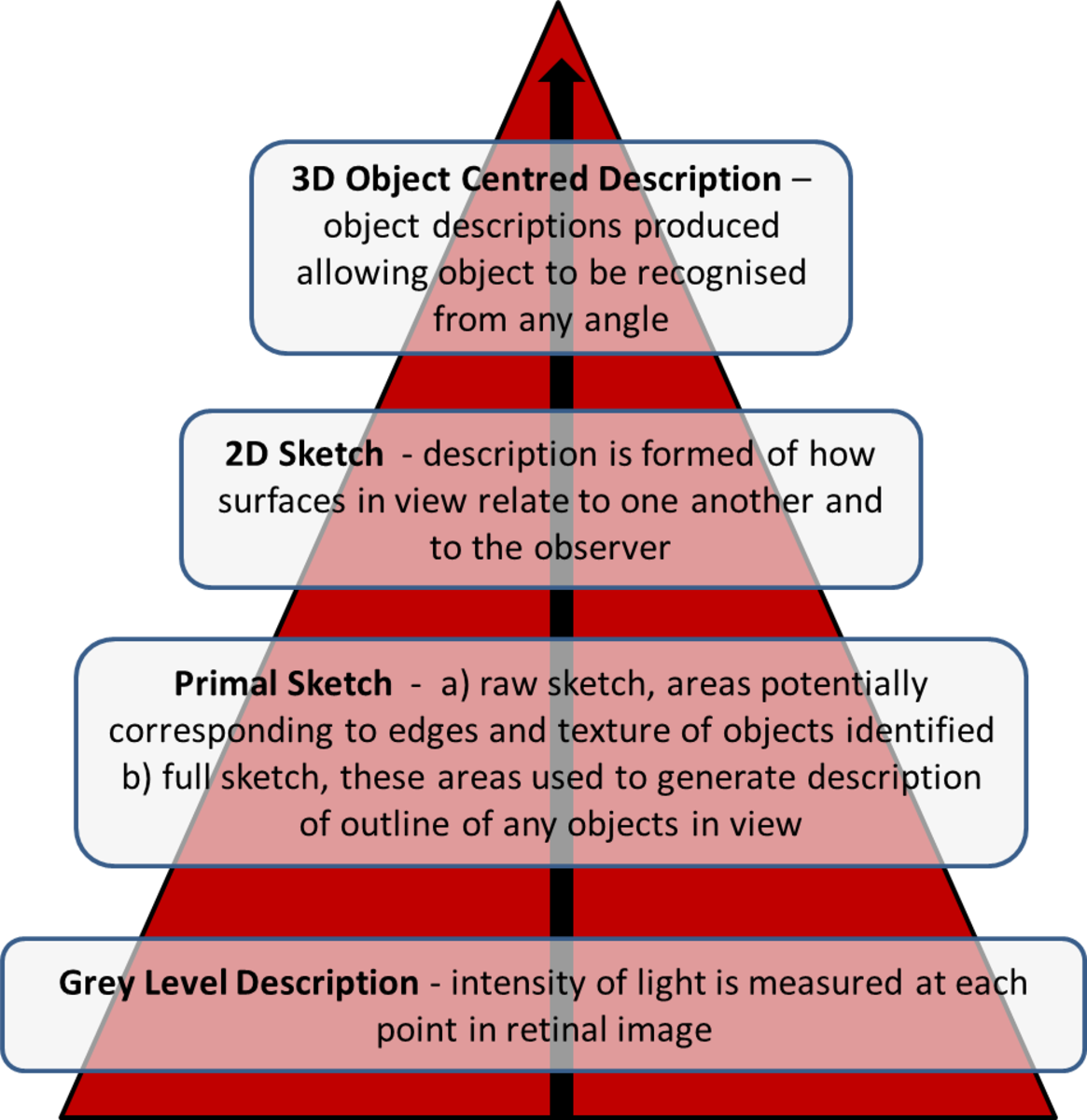 Perception Psychology