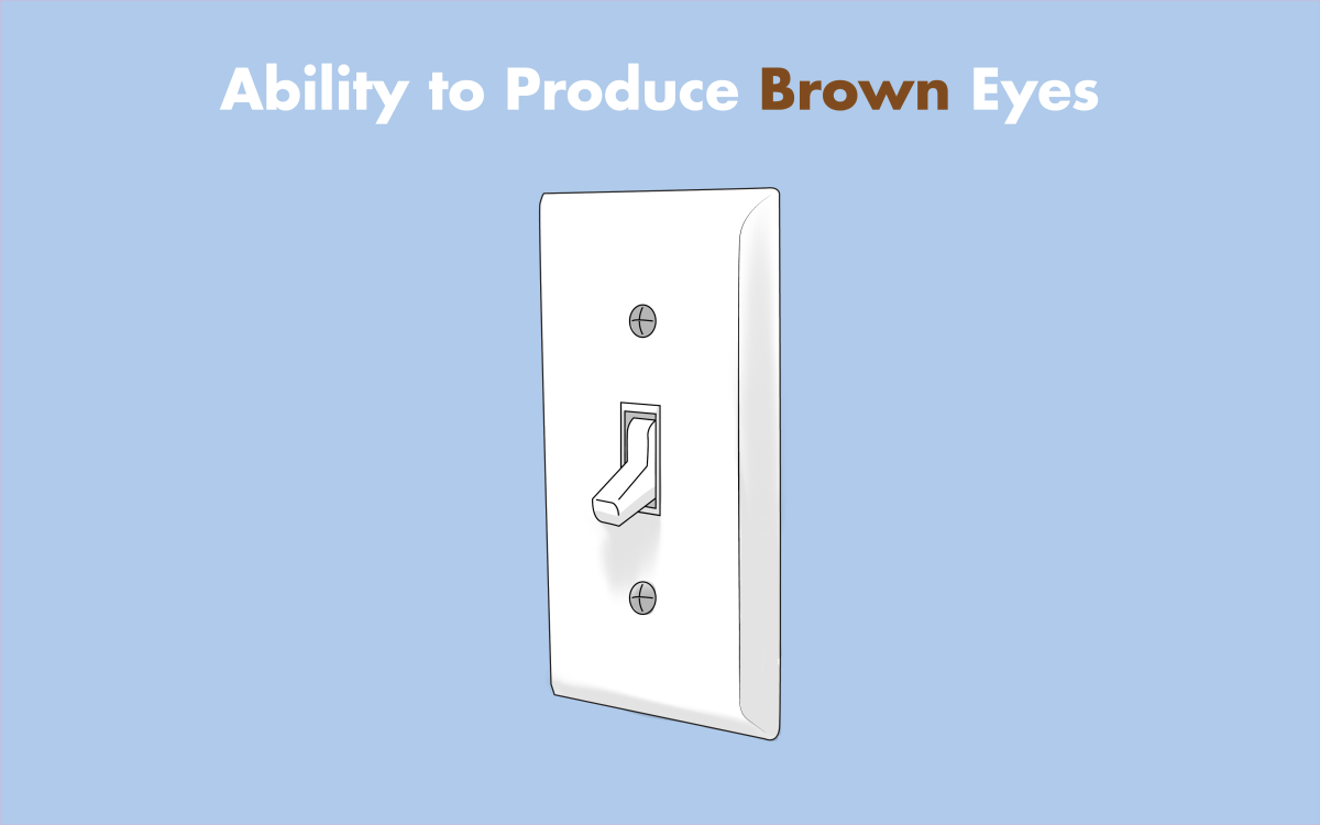 People with blue eyes are affected by a genetic mutation that turns off their ability to produce brown eyes.