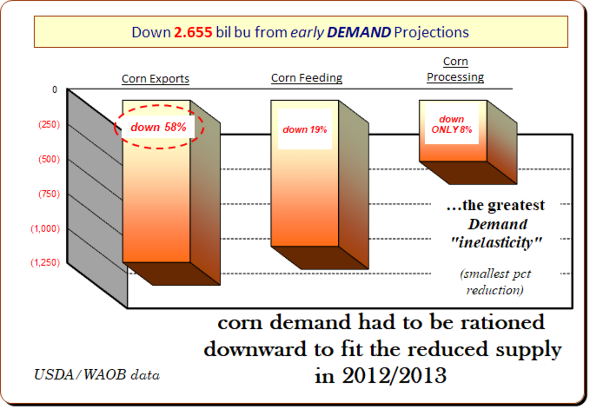 the classroom theory of demand elasticity played out in the corn market in 2012/2013