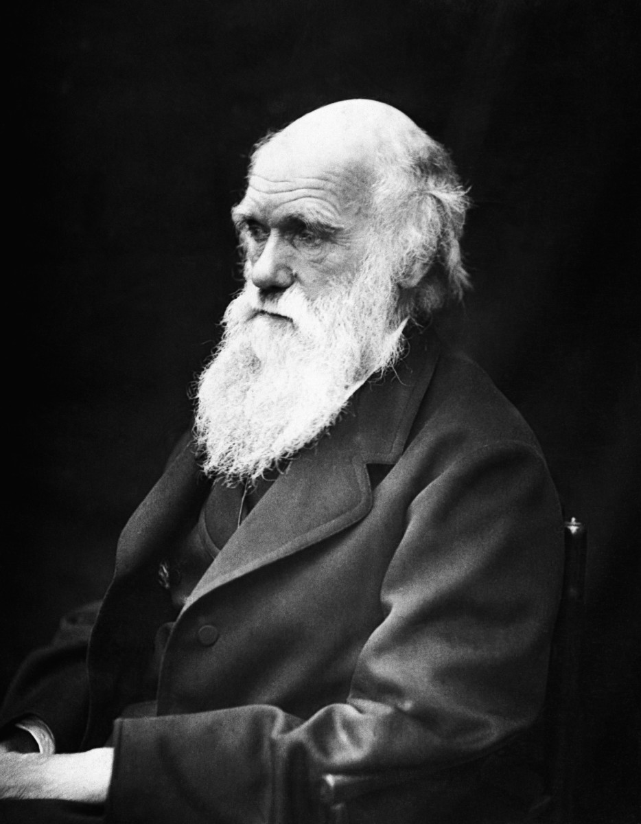 A photograph of Charles Darwin by Julia Margaret Cameron taken in 1868