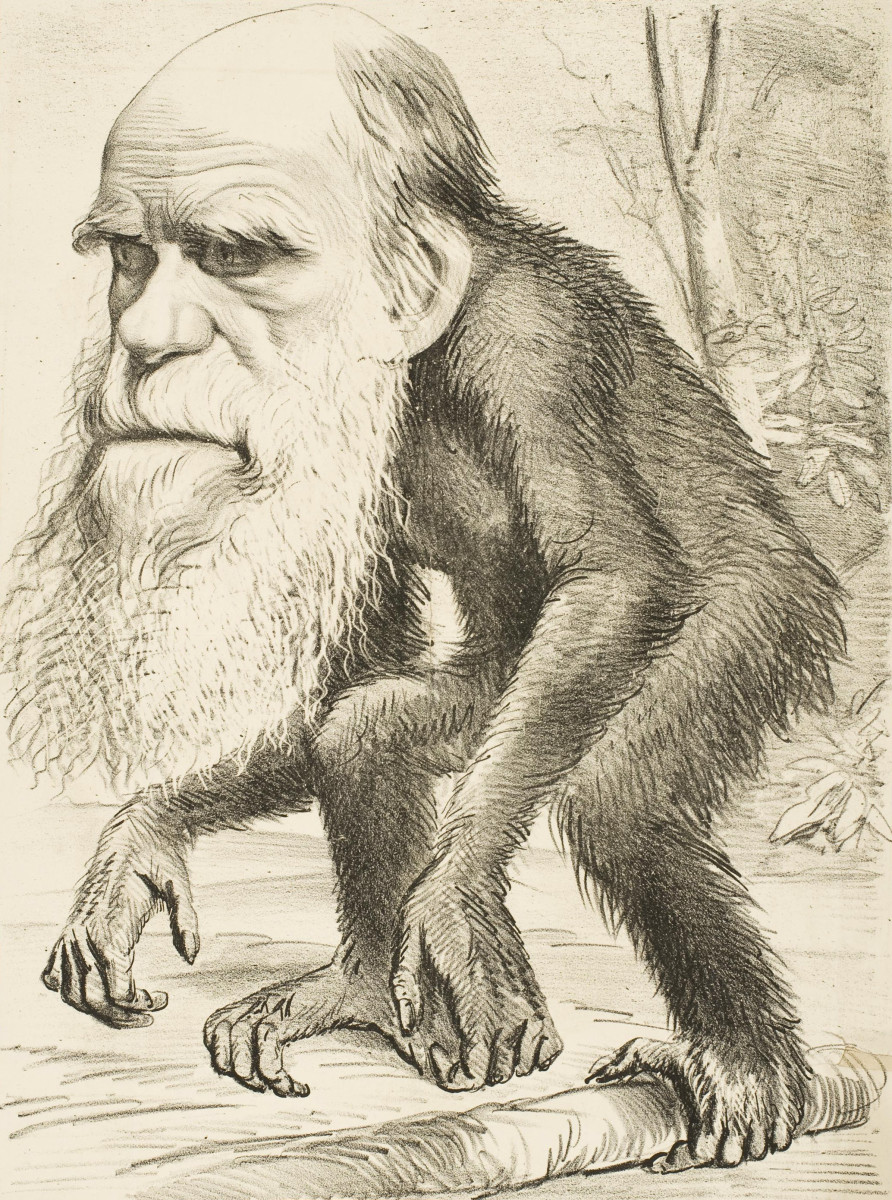 Darwin is mocked for his views in this editorial cartoon.