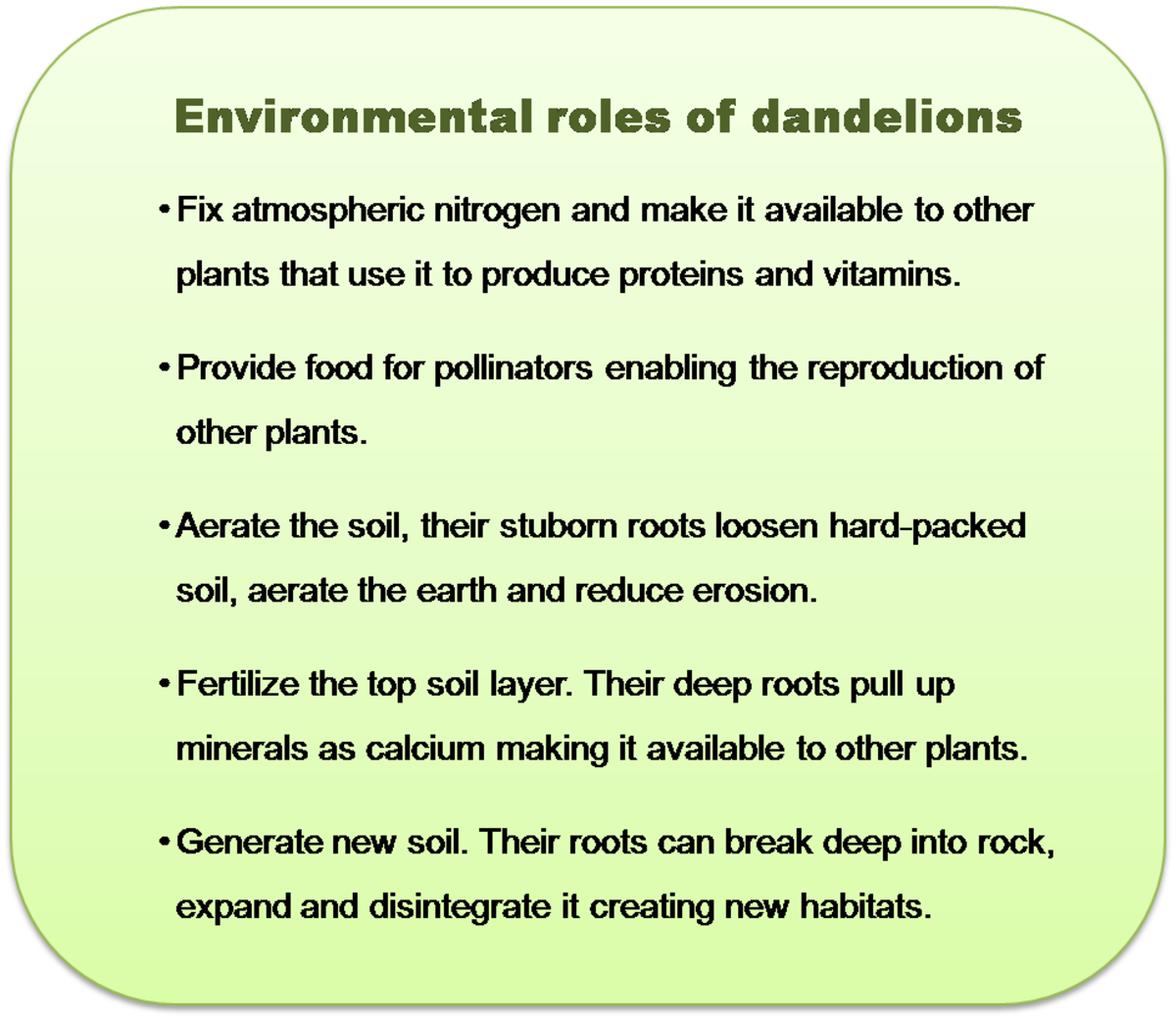 A summary of the environmental benefits of dandelions.