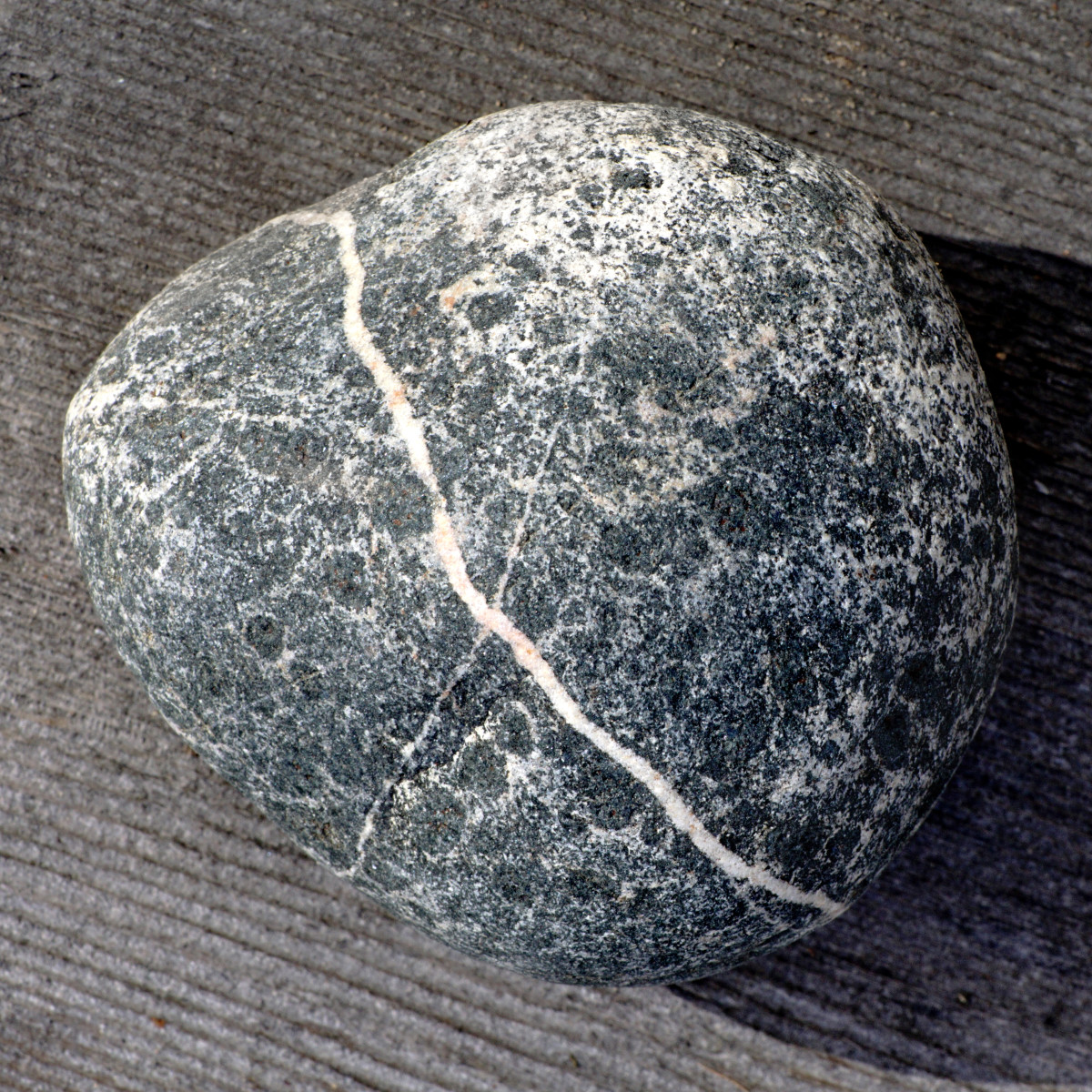 Gabbro Rock  -  Lake Michigan Beach Stone