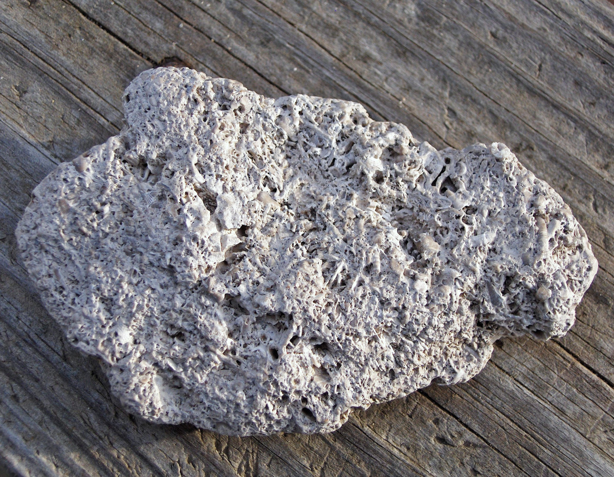 Tuffa limestone found along Lake Michigan beaches   