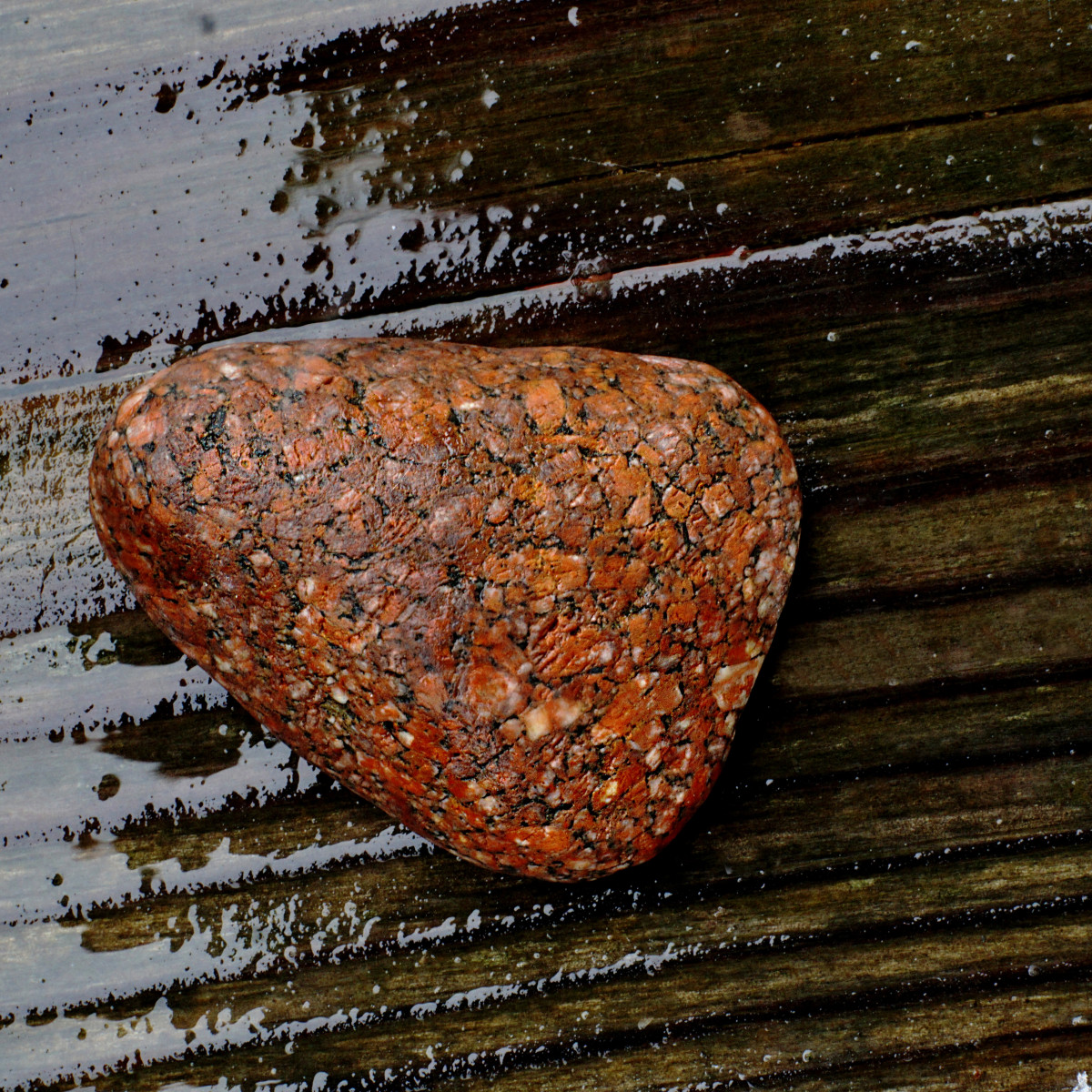 Porphyritic granite found along Lake Michigan beaches    