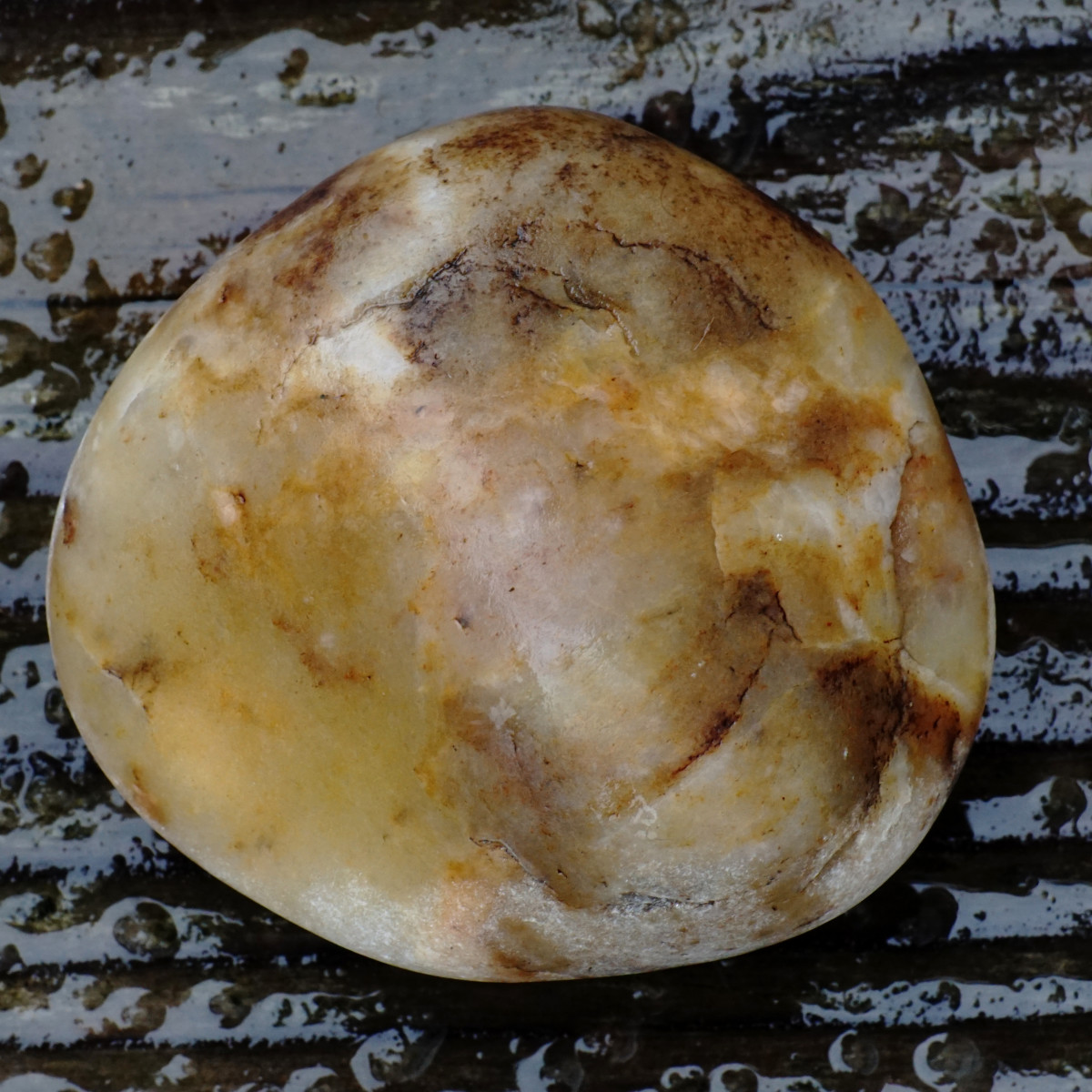 Chalcedony cobbler found along Lake Michigan beaches