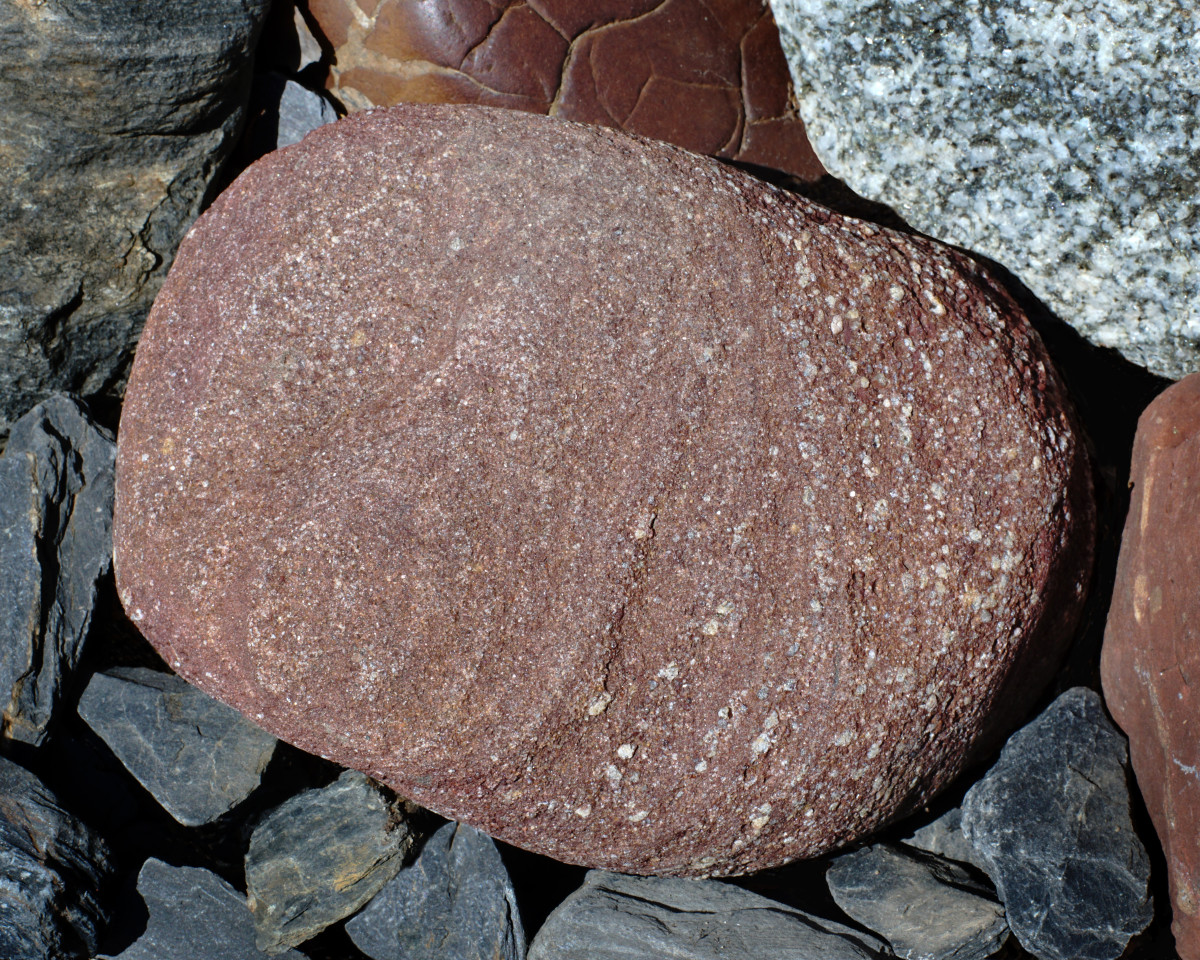 Sandstone Boulder -  Lake Michigan Beach Stone