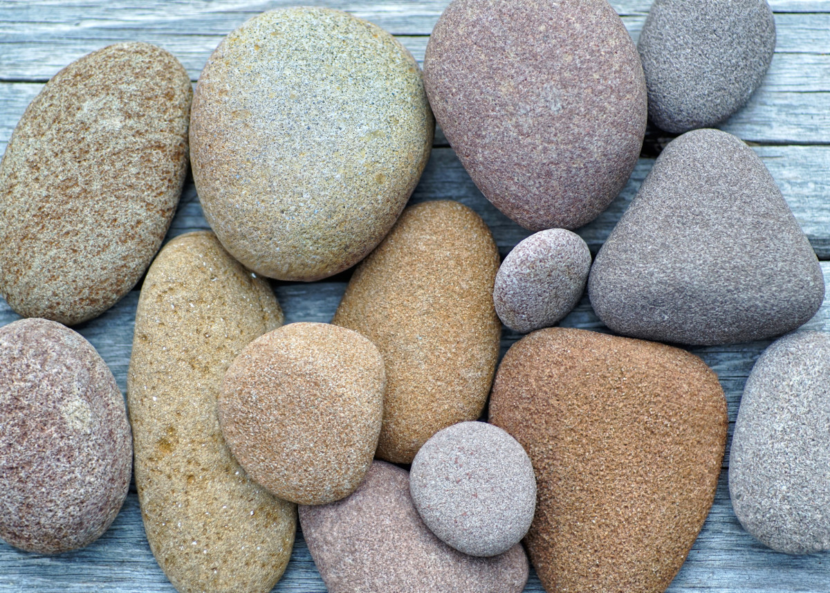 Sandstone Cobblers - Lake Michigan Beach Stones