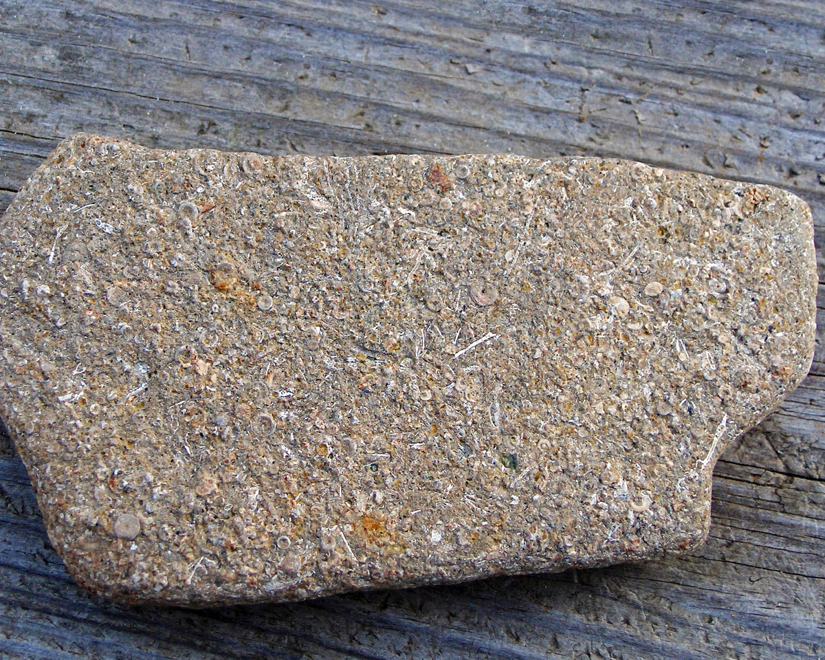Fossiliferous limestone found along Lake Michigan beaches     