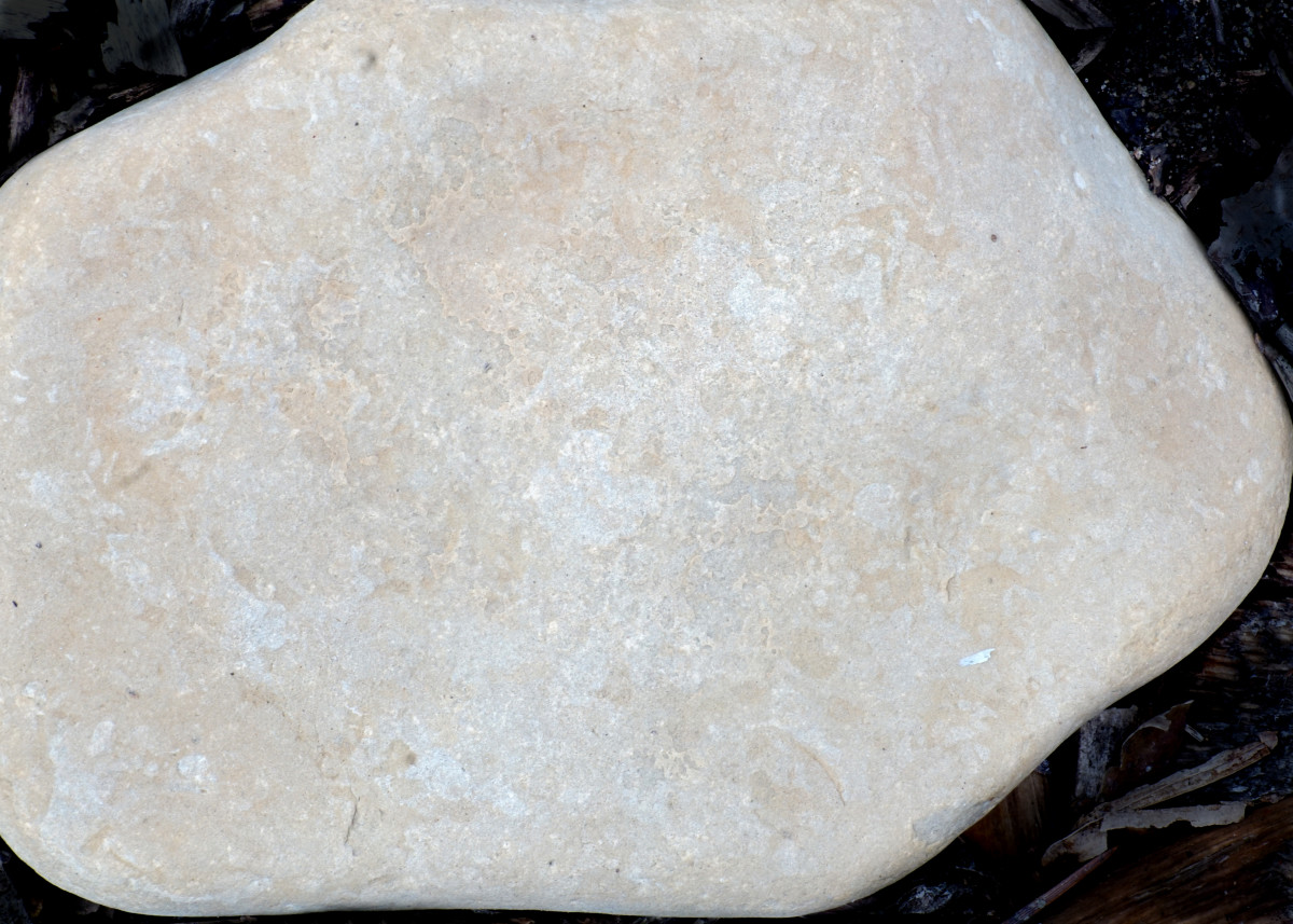 Compact limestone found along Lake Michigan beaches     